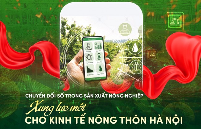 Xung lực mới cho kinh tế nông thôn Thủ đô