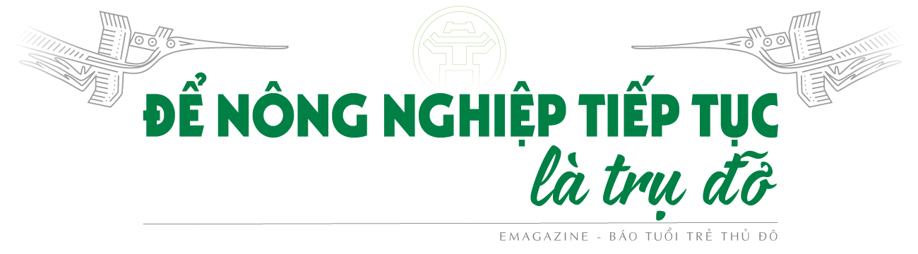 Xung lực mới cho kinh tế nông thôn Thủ đô