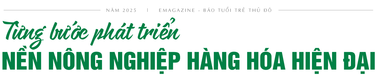 Xung lực mới cho kinh tế nông thôn Thủ đô