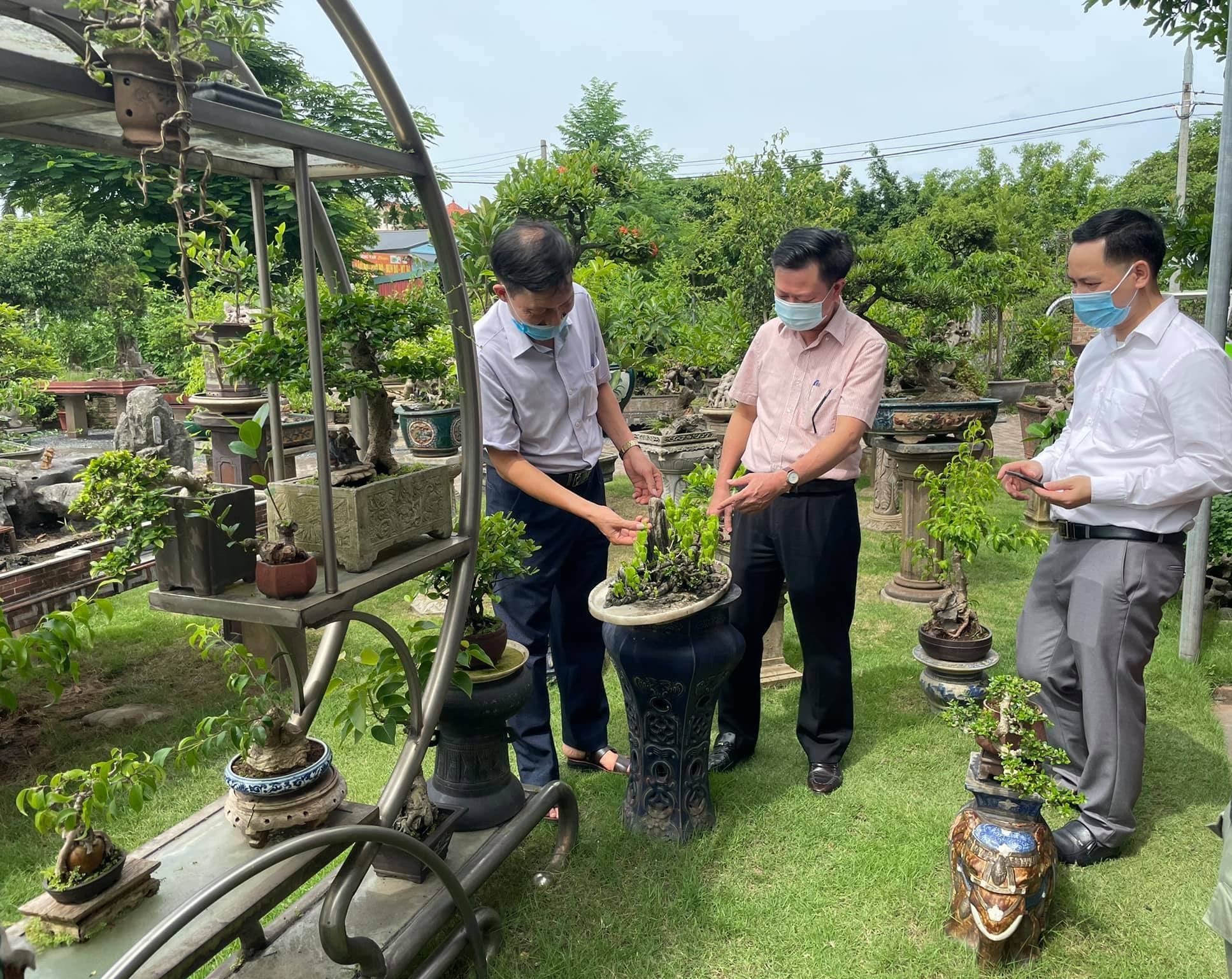 Pháttriển dulịch sinhthái nôngnghiệp: Biến nông thôn Hà Nội thành điểm đến hấp dẫn