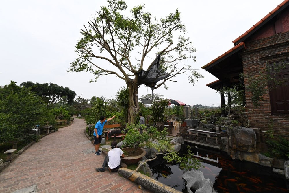 Pháttriển dulịch sinhthái nôngnghiệp: Biến nông thôn Hà Nội thành điểm đến hấp dẫn