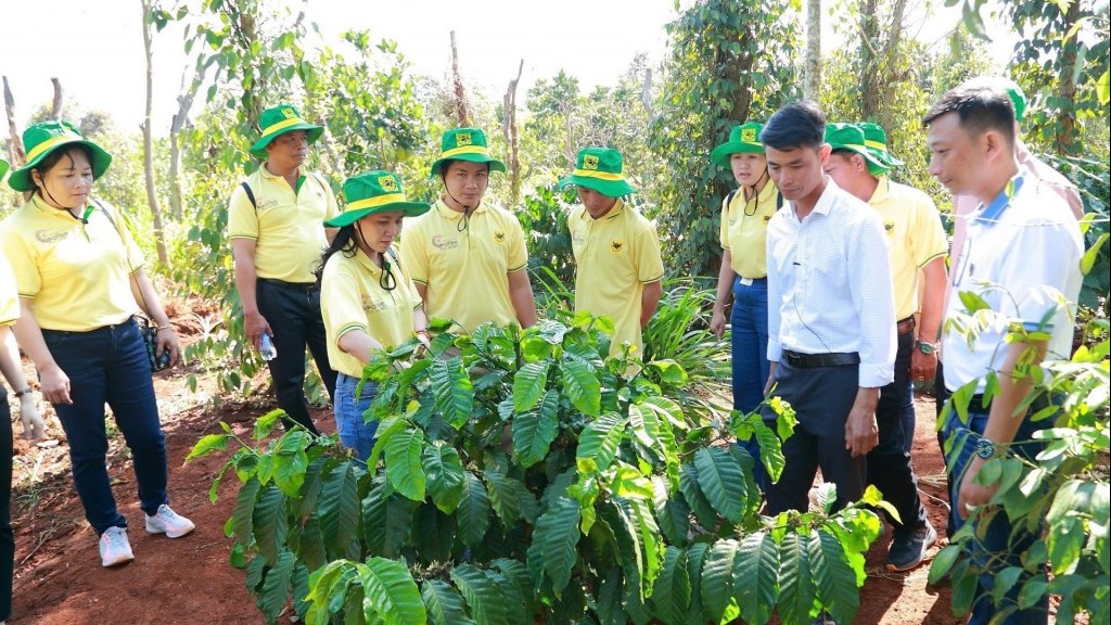 Đảm bảo nguồn tài chính cho lĩnh vực trồng trọt giảm phát thải