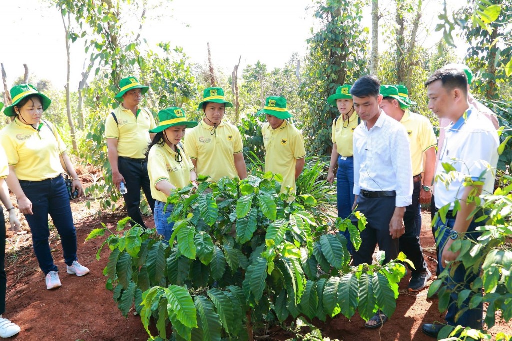 Đảm bảo nguồn tài chính cho lĩnh vực trồng trọt giảm phát thải