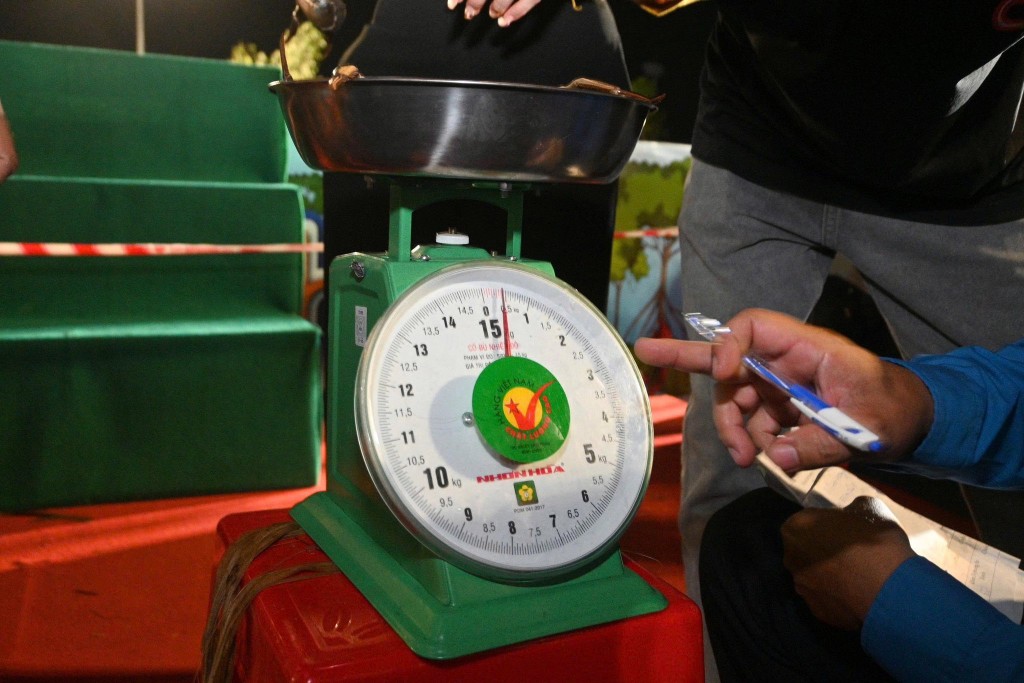 Ban tổ chức đo kích thước càng cua.