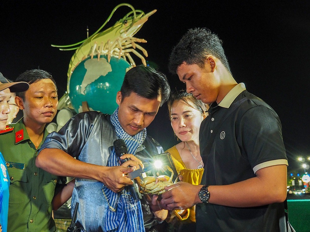 Ban tổ chức đo kích thước càng cua.