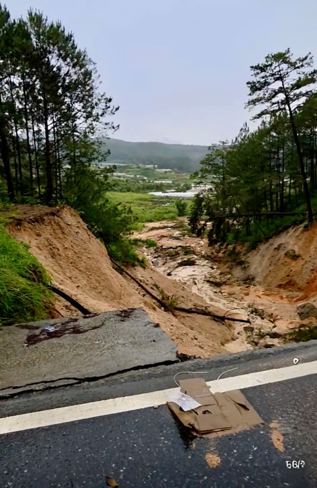 Toàn bộ kết cấu đường, taluy đều bị sạt lở (Ảnh: CTV)