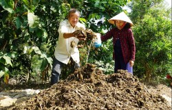 Giảm rác thải nông nghiệp - Hướng đi tất yếu cho nền nông nghiệp xanh