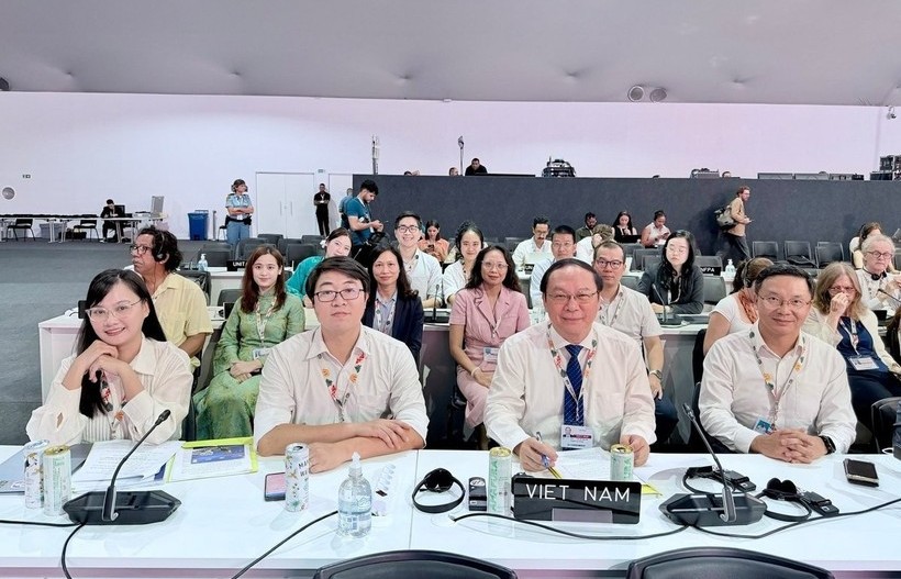 Thúc đẩy chuyển đổi nông nghiệp bền vững, giảm phát thải khí mê-tan