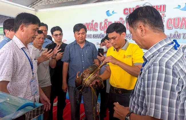 Cua “khủng” gần 2kg trở thành tâm điểm Ngày hội Cua Cà Mau