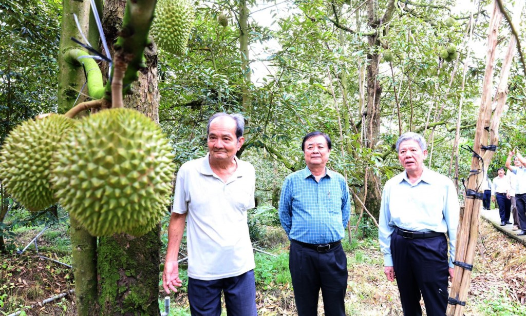 Phó Chủ tịch Quốc hội Lê Minh Hoan thăm các hộ dân trồng sầu riêng trên địa bàn xã Ngũ Hiệp Phó Chủ tịch Quốc hội Lê Minh Hoan thăm các hộ dân trồng sầu riêng trên địa bàn xã Ngũ Hiệp