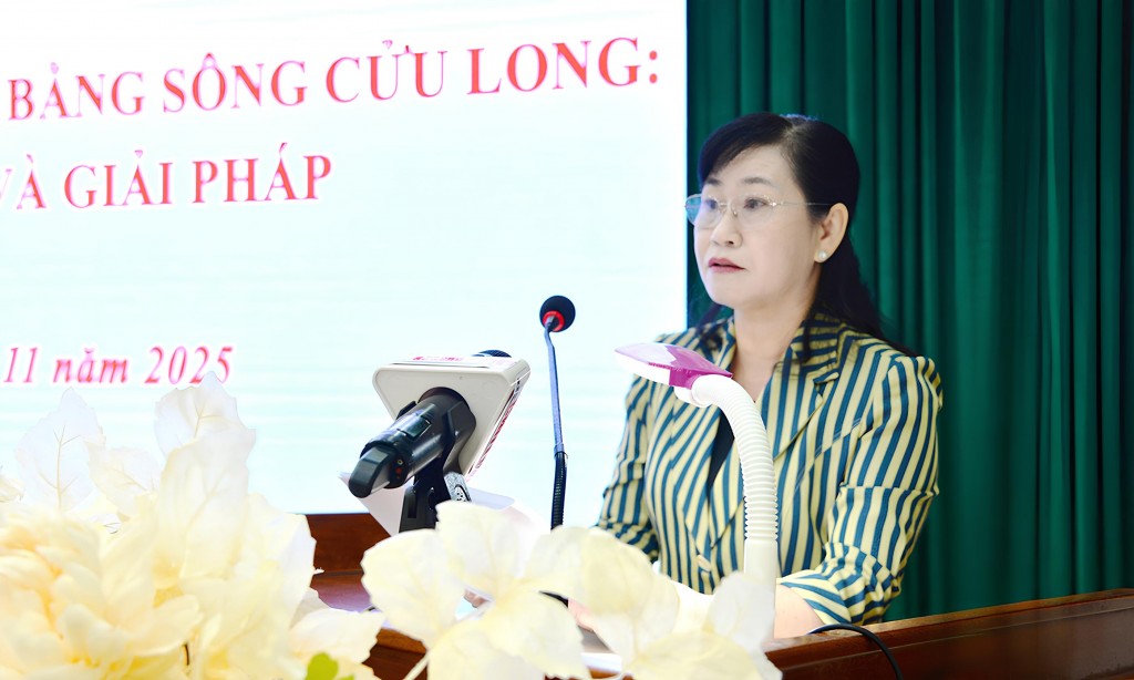 Châu Thị Mỹ Phương, Phó Bí thư Tỉnh ủy, Chủ tịch Hội đồng nhân dân tỉnh Đồng Tháp