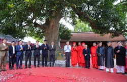 Xã Phù Đổng công bố Quyết định công nhận Cây Di sản Việt Nam