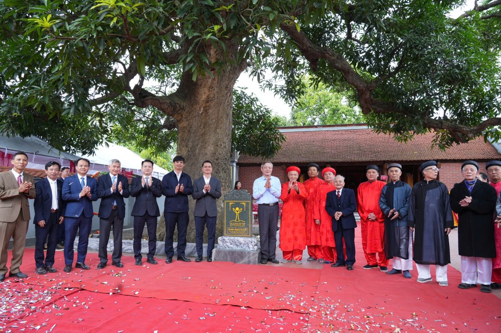 Xã Phù Đổng công bố Quyết định công nhận Cây Di sản Việt Nam