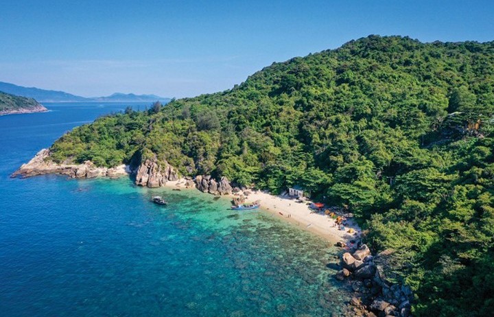 TP Huế bàn giao hơn 740ha diện tích rừng cho Đà Nẵng