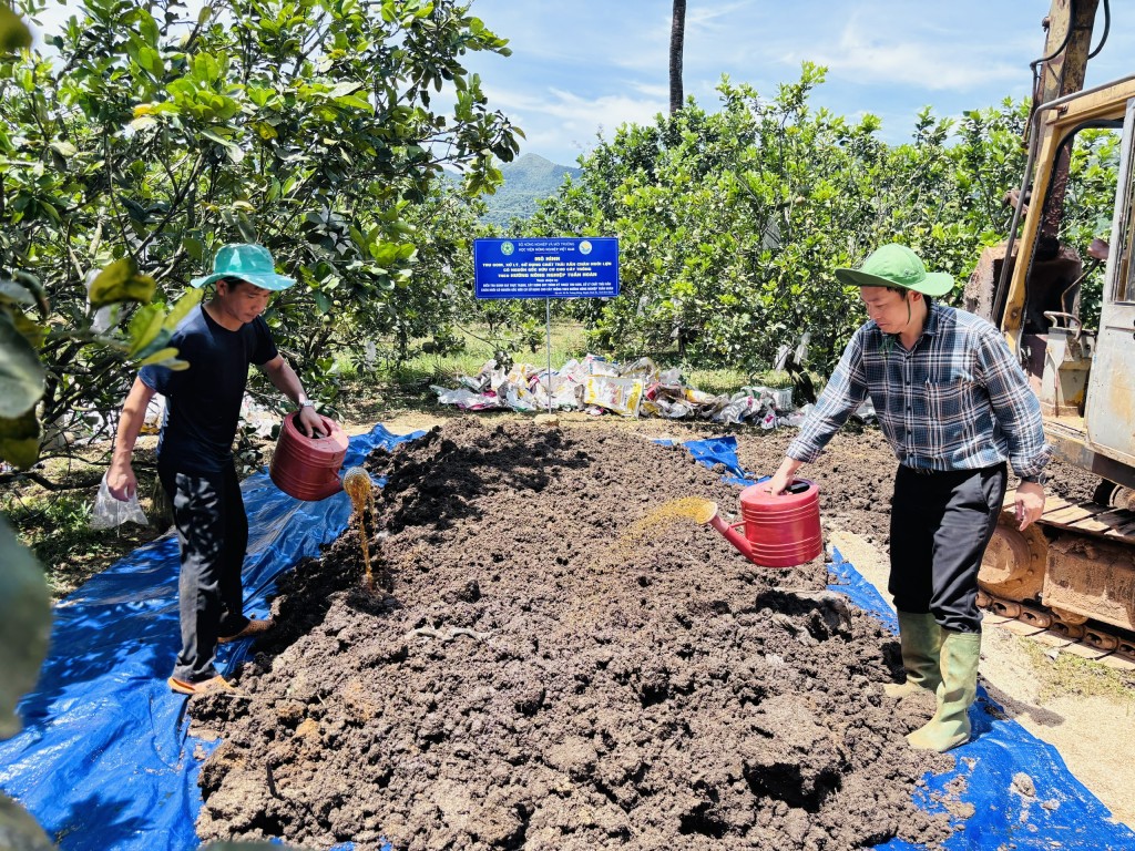 PGS.TS. Võ Hữu Công (phải) và đồng nghiệp Khoa Tài nguyên và Môi trường, Học viện Nông nghiệp Việt Nam xử lý chất thải chăn nuôi lợn, sử dụng chăm cây bưởi da xanh cho hiệu quả cao tại xã Hoài Ân, tỉnh Gia Lai