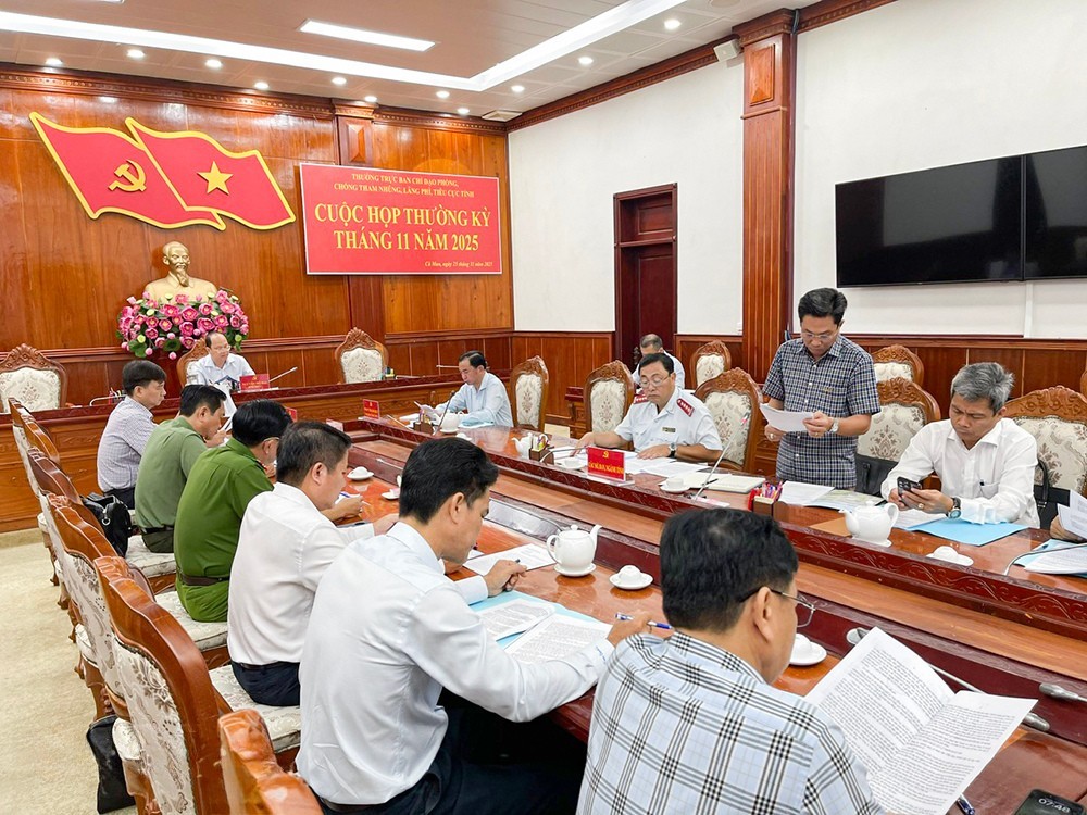 Phó Bí thư Đảng uỷ UBND tỉnh Lê Bình Nguyên trình bày báo cáo tại cuộc họp.