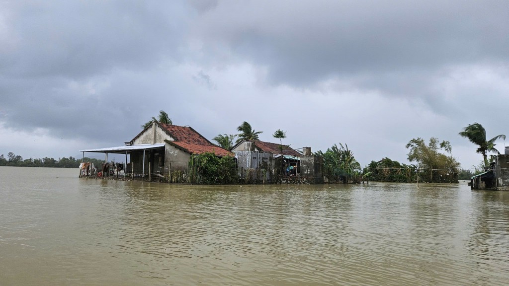 Tại “rốn lũ” Hòa Xuân, nhiều khu vực của xã này vẫn còn đang ngập sâu trong nước (Ảnh H.Quảng)