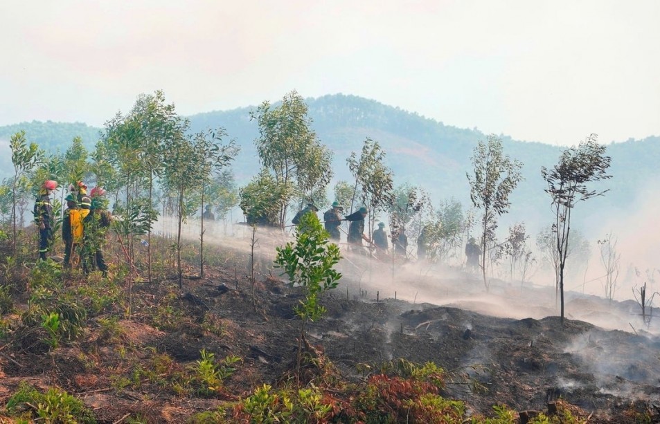 Tăng cường mô hình “4 tại chỗ” và “5 sẵn sàng” bảo vệ rừng