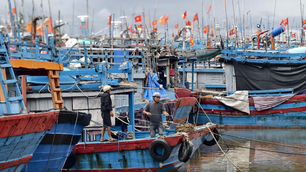 Ảnh minh hoạ Ảnh minh hoạ