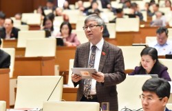 ĐBQH tán thành cấm đầu tư kinh doanh thuốc lá điện tử, thuốc lá nung nóng