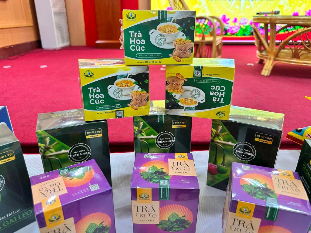 Trang bị kỹ năng bán hàng cho các hộ kinh doanh online Trang bị kỹ năng bán hàng cho các hộ kinh doanh online