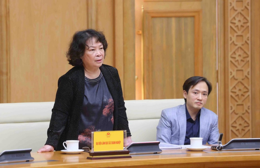 Công ty TNHH Việt Nam 3000 phát biểu tại cuộc họp - Ảnh: VGP/Nguyễn Hoàng