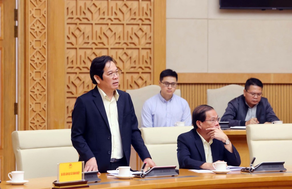 Tổng Giám đốc Công ty cổ phần Tập đoàn Trường Hải Nguyễn Hoàng Tuệ phát biểu tại cuộc họp - Ảnh: VGP/Nguyễn Hoàng