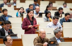 ĐBQH đề nghị xác định rõ điều kiện để phân cấp cho xã trong vấn đề quy hoạch