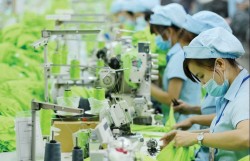 Thúc đẩy quá trình chuyển đổi số - chuyển đổi xanh trong cộng đồng doanh nghiệp