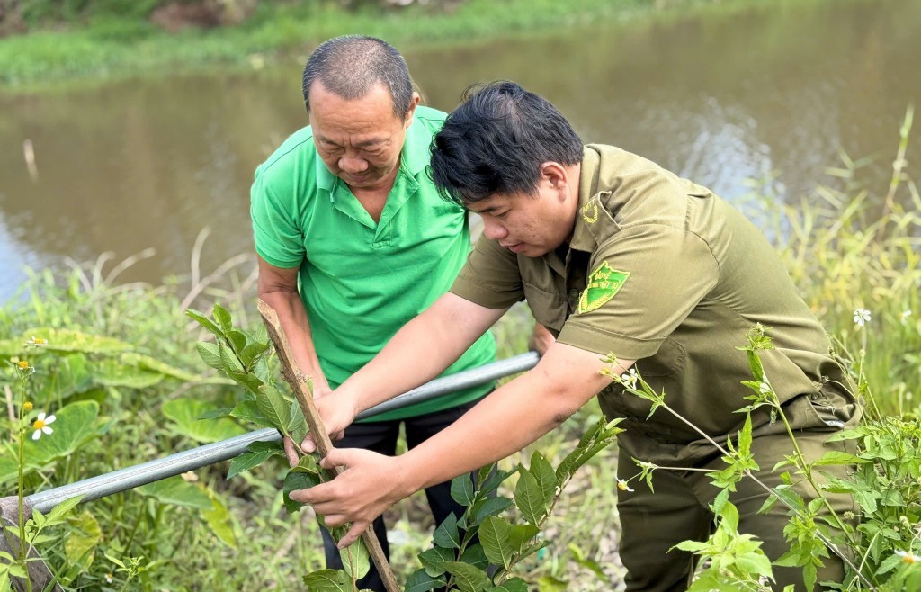 Đổi mới diện mạo nhờ mô hình “Trồng cây xanh - phủ xanh kênh rạch”