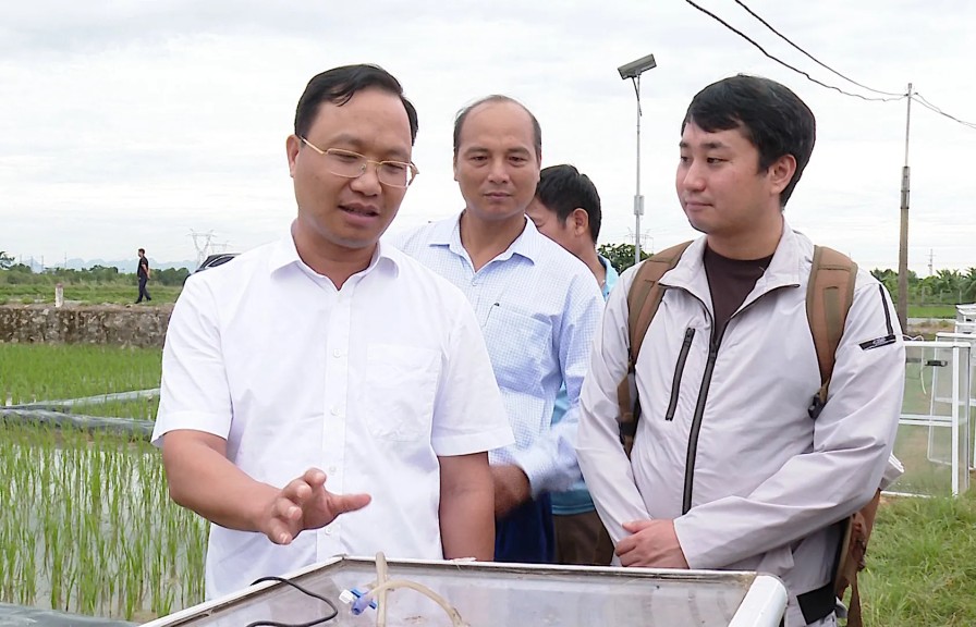 Nông nghiệp Thủ đô "chuyển mình" xanh hóa: Giấc mơ Net Zero bắt đầu từ đồng ruộng