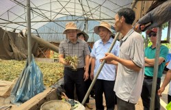 "Đòn bẩy" cho xây dựng Nông thôn mới bền vững và đáng sống