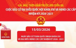 Các mốc thời gian trước và sau khi diễn ra cuộc bầu cử đại biểu Quốc hội khóa XVI