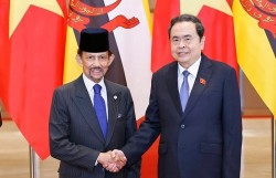Chủ tịch Quốc hội Trần Thanh Mẫn hội kiến Quốc vương Brunei