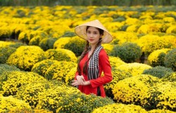 Festival Hoa - Kiểng Sa Đéc lan tỏa vẻ đẹp làng hoa trăm năm