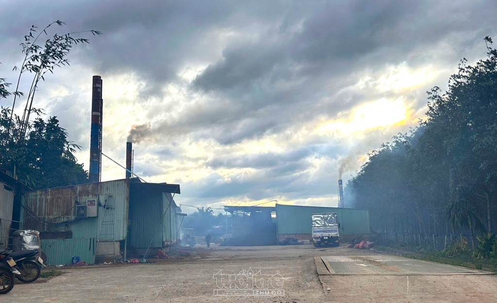 Quảng Ngãi: Xử phạt cơ sở sấy cà phê nằm sát khu dân cư Quảng Ngãi: Xử phạt cơ sở sấy cà phê nằm sát khu dân cư