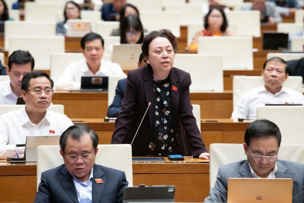 ĐBQH Phạm Khánh Phong Lan - TP.HCM ĐBQH Phạm Khánh Phong Lan - TP.HCM