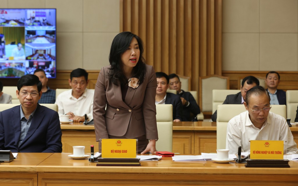 Thứ trưởng Bộ Ngoại giao Lê Thị Thu Hằng phát biểu - Ảnh: VGP/Minh Khôi