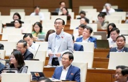 Cần gói hỗ trợ đồng bộ, căn cơ cho người dân bị ảnh hưởng bởi thiên tai