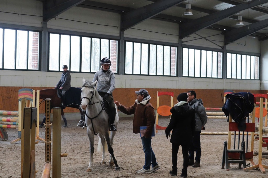 Vinpearl Equestrian Cup 2025: Bước đột phá của thể thao cưỡi ngựa Việt Nam