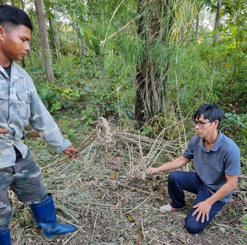 Trung tâm Bảo tồn Đắk Lắk ghi nhận sự xuất hiện của voi hoang dã (Ảnh: TT Bảo tồn voi)