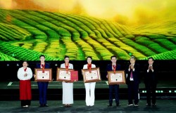 Khát vọng đưa trà Việt tiến xa hơn trên bản đồ thế giới