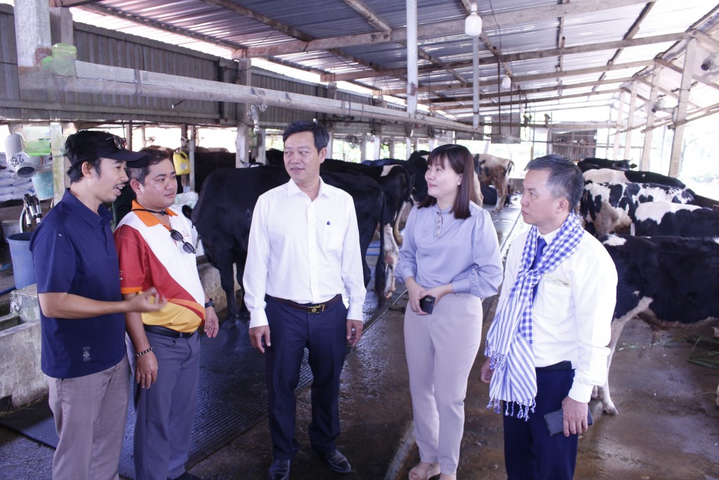 Hệ sinh thái đa dạng giúp Bình Mỹ trở thành điểm sáng du lịch Hệ sinh thái đa dạng giúp Bình Mỹ trở thành điểm sáng du lịch