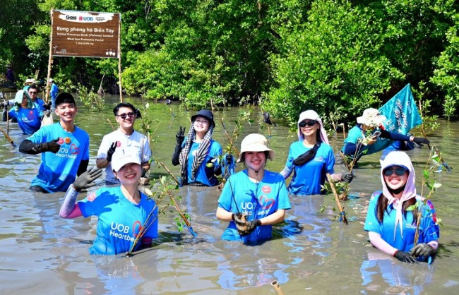 Phục hồi rừng - chiến lược bền vững bảo vệ Việt Nam trước bão lũ