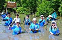 Phục hồi rừng - chiến lược bền vững bảo vệ Việt Nam trước bão lũ