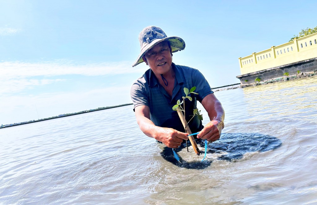 Phục hồi rừng - chiến lược bền vững bảo vệ Việt Nam trước bão lũ