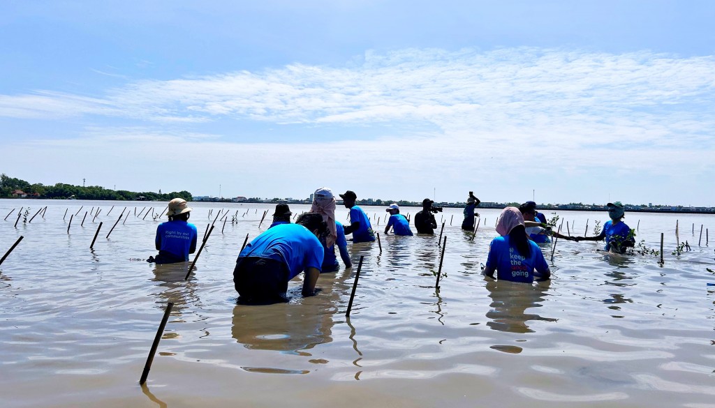 Phục hồi rừng - chiến lược bền vững bảo vệ Việt Nam trước bão lũ