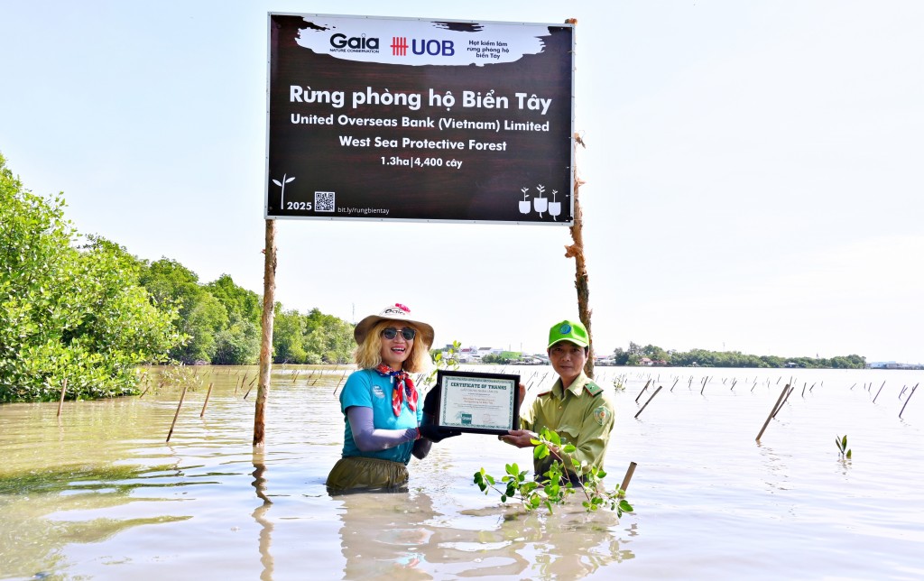 Phục hồi rừng - chiến lược bền vững bảo vệ Việt Nam trước bão lũ