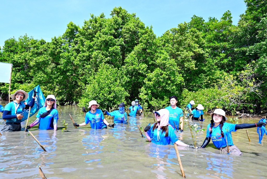 Phục hồi rừng - chiến lược bền vững bảo vệ Việt Nam trước bão lũ