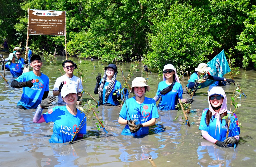 Phục hồi rừng - chiến lược bền vững bảo vệ Việt Nam trước bão lũ